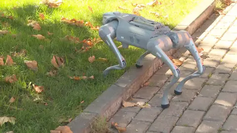 Perro robot para la agricultura Perro robot para la agricultura
