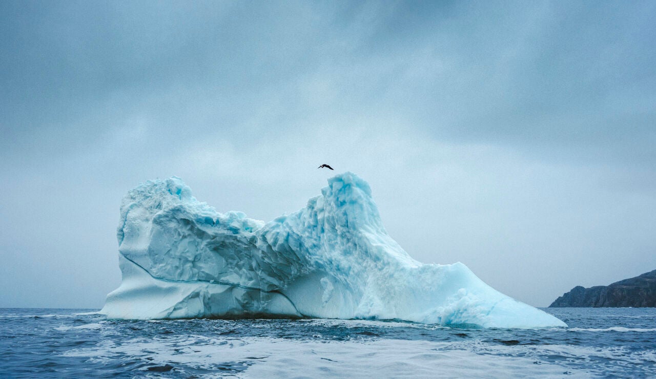 Molly Carlson hace historia al ser la primera mujer en saltar desde un iceberg