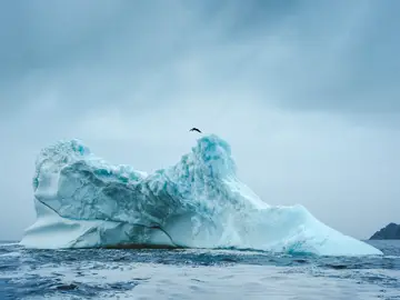 Molly Carlson hace historia al ser la primera mujer en saltar desde un iceberg Molly Carlson hace historia al ser la primera mujer en saltar desde un iceberg