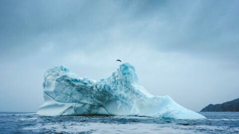 Molly Carlson hace historia al ser la primera mujer en saltar desde un iceberg