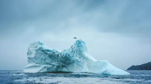 Molly Carlson hace historia al ser la primera mujer en saltar desde un iceberg Molly Carlson hace historia al ser la primera mujer en saltar desde un iceberg