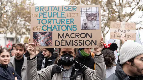 Más de 320.000 personas se manifiestan en toda Francia en el Tercer Acto de las protestas sociales Más de 320.000 personas se manifiestan en toda Francia en el Tercer Acto de las protestas sociales
