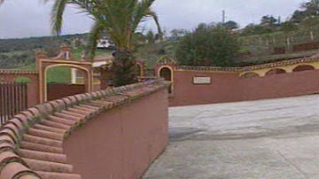 Paz en "Ambiciones"