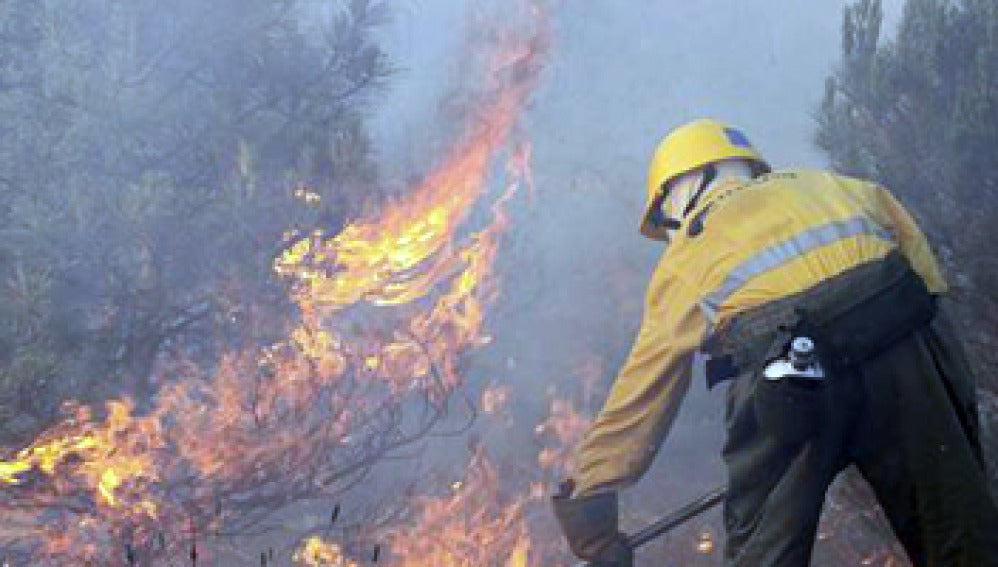 Bajo control el incendio de León