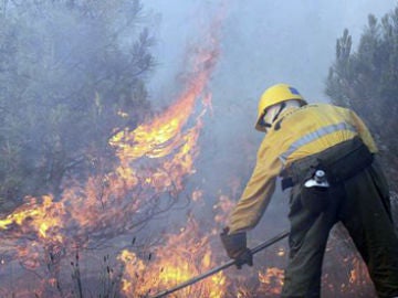 Bajo control el incendio de León Bajo control el incendio de León