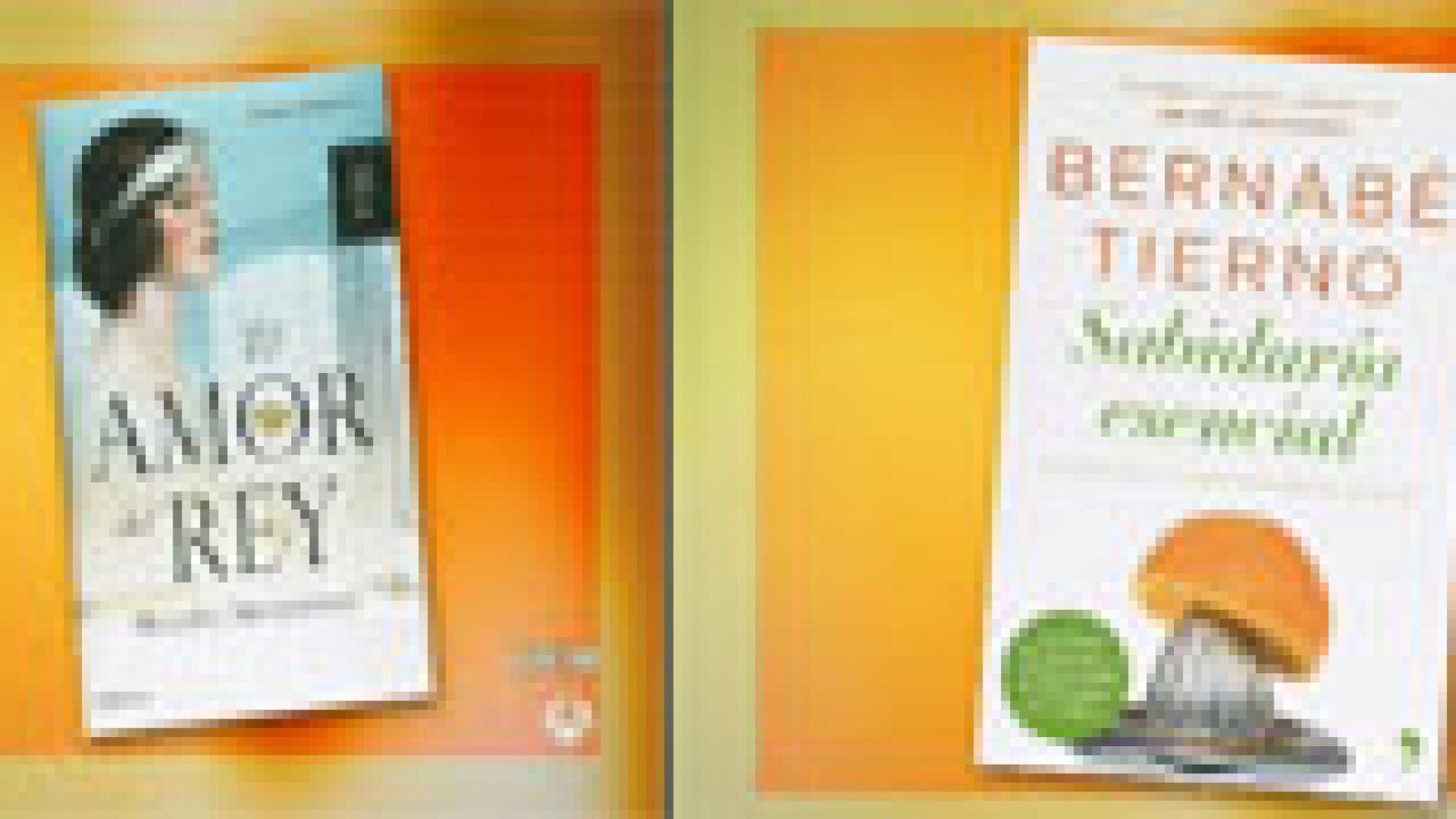 espejo: 7mayo_libros188