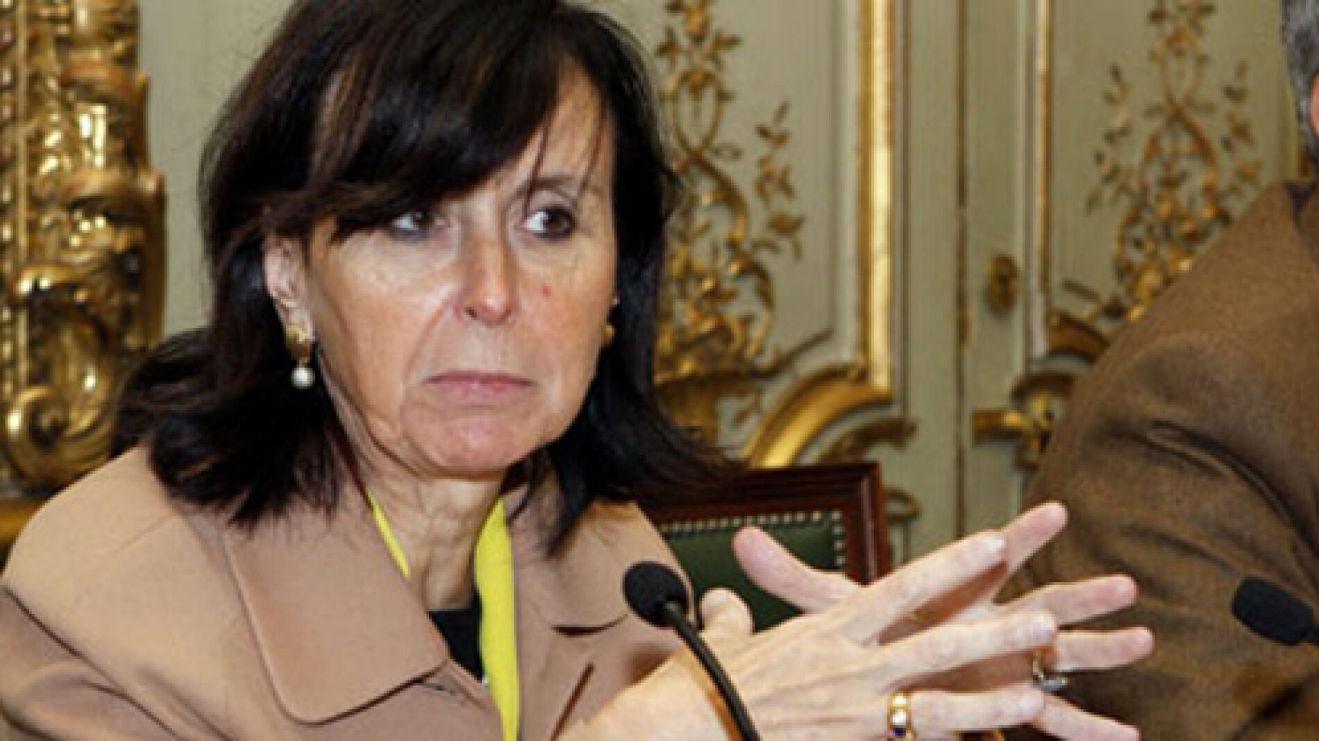 Mar&iacute;a Emilia Casas, presidenta del TC
