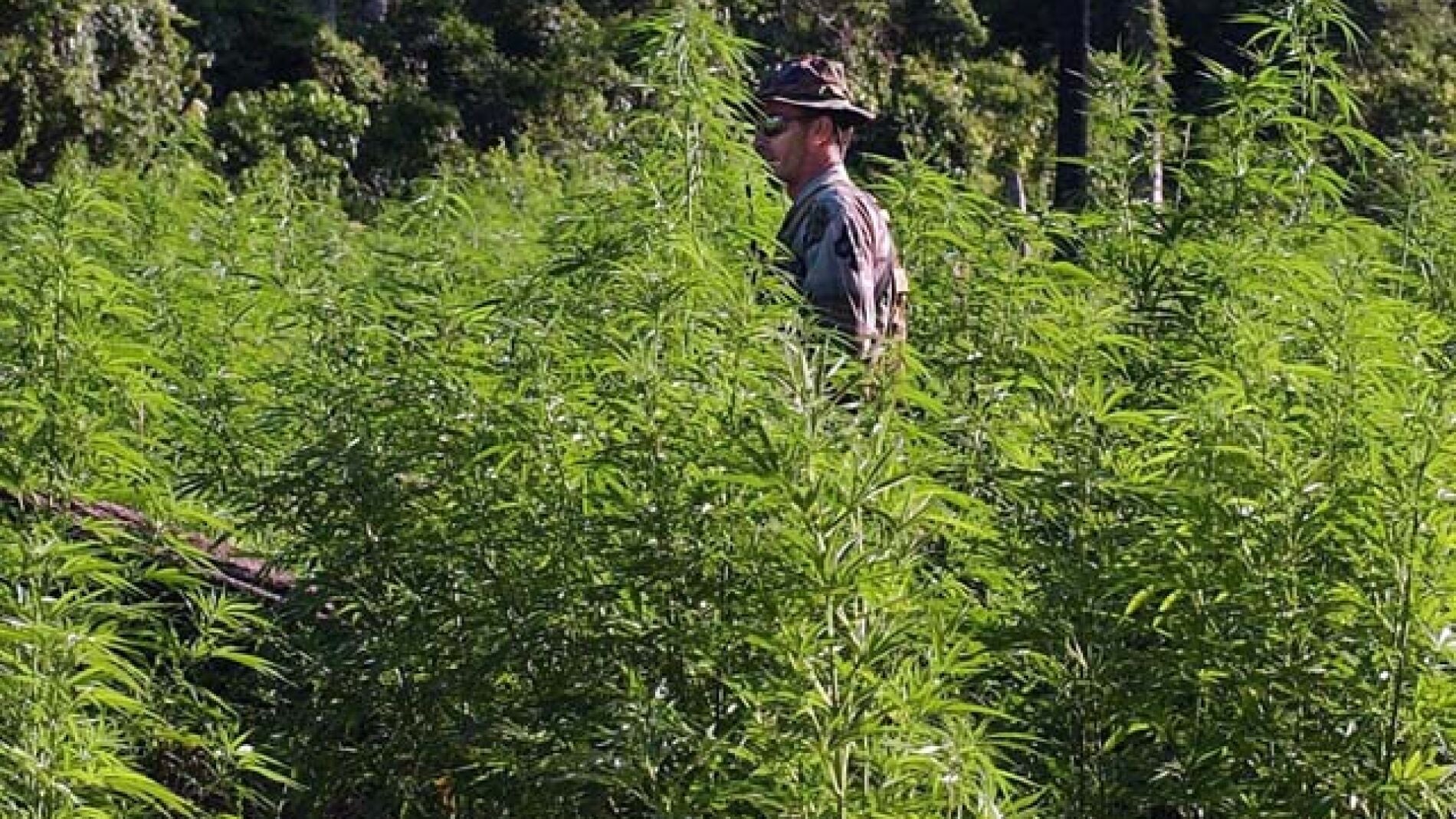 La legalizaci&oacute;n de la venta de marihuana, a debate en Uruguay