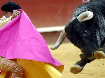 Imagen de una corrida de toros en España Imagen de una corrida de toros en España