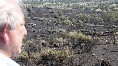 El alcalde observa la superficie quemada El alcalde observa la superficie quemada