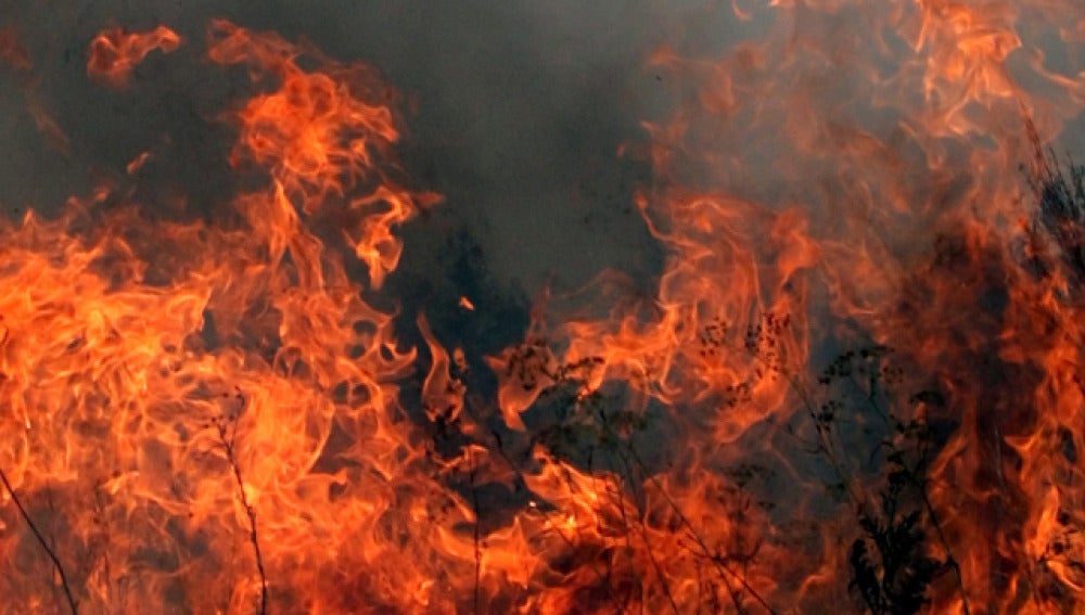 El número de incendios se ha reducido drásticamente