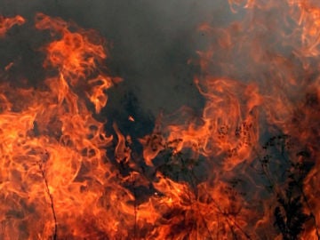 El número de incendios se ha reducido drásticamente