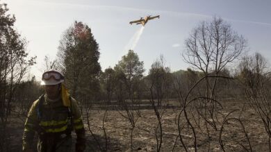 Dos incendios siguen activos en Zamora aunque ya sin riesgo