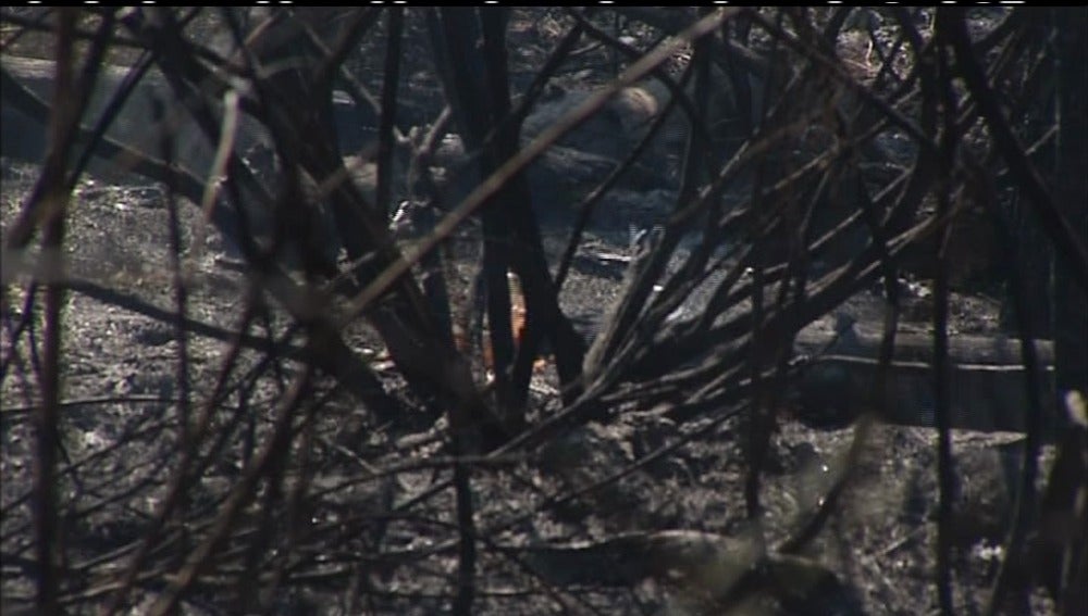 Matorrales ardiendo en Carballedo de Valdeorras