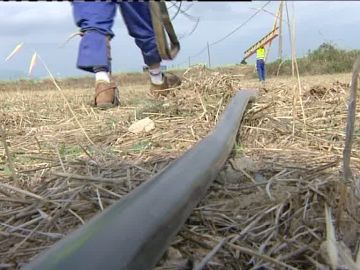 Robo de cable de cobre