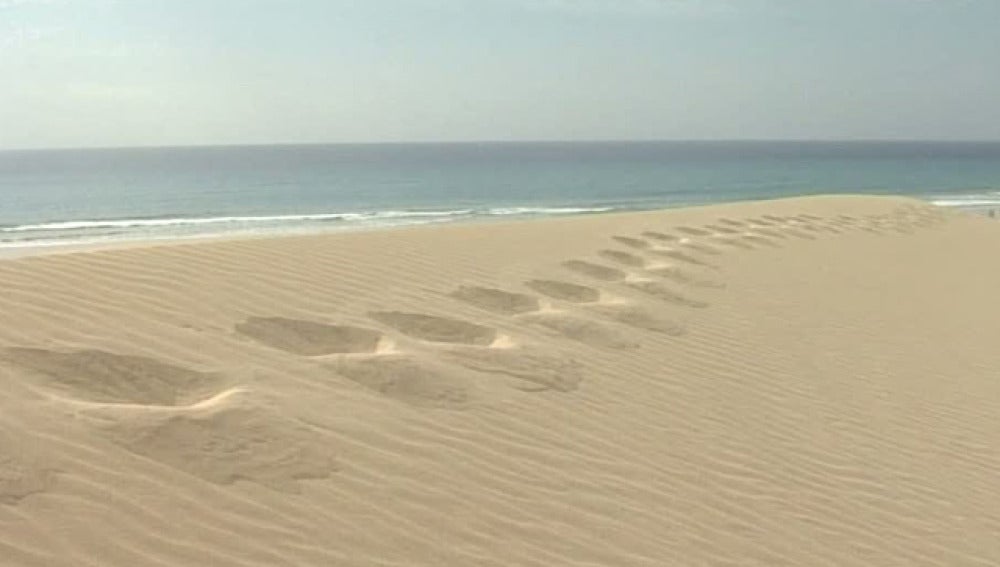 Imagen de la playa de Fuerteventura