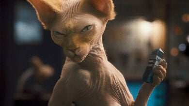 La revancha de Kitty Galore