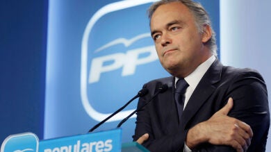 Pons: 