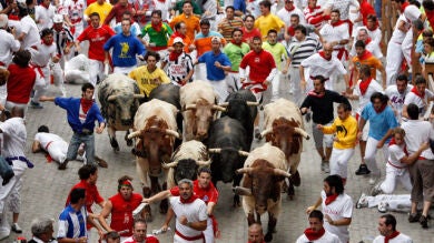 Manzanares, Perera o Talavante, las grandes figuras en la Feria de Sanse
