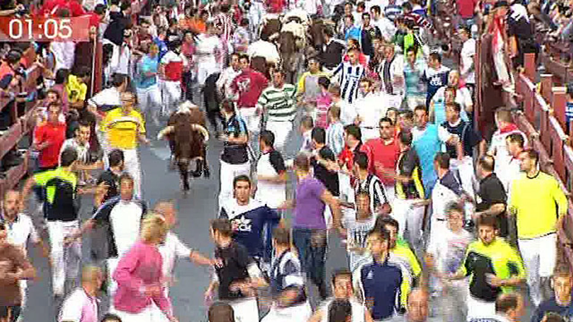 Segundo encierro de San Sebastián de los Reyes