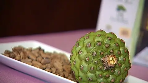 Una piña verde junto a piñones Una piña verde junto a piñones