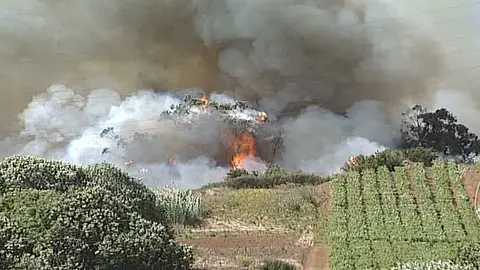 Incendio en Tenerife Incendio en Tenerife