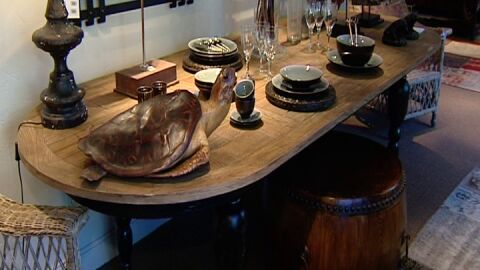 Tortuga a la mesa , lo ultimo