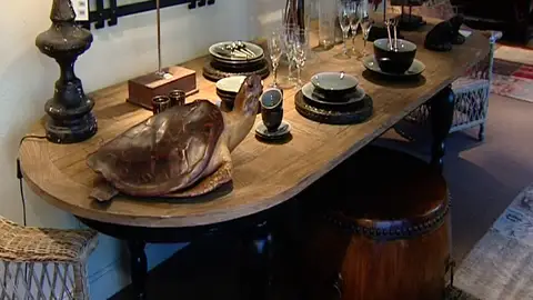 Tortuga a la mesa , lo ultimo Tortuga a la mesa , lo ultimo