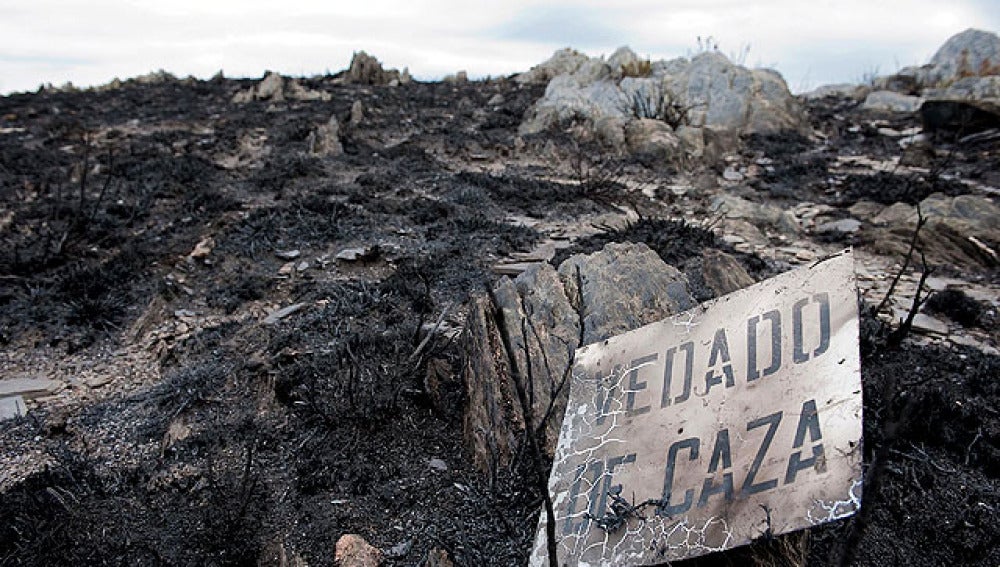 La lluvia ayuda a controlar el incendio