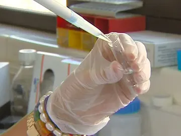 La 'burundanga' anula la voluntad de las personas La 'burundanga' anula la voluntad de las personas