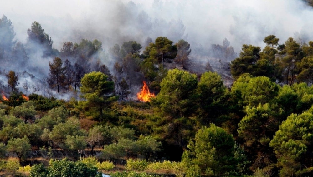 Incendio en Valencia