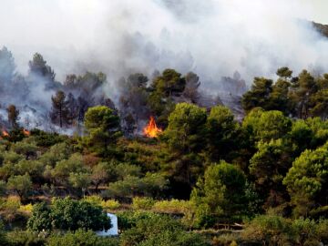 Incendio en Valencia Incendio en Valencia