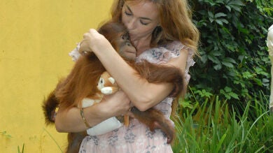 Marta Hazas amadrina un orangután