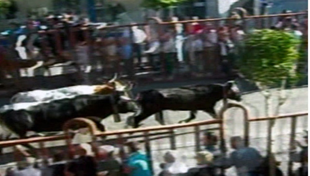 Encierro Arganda del Rey