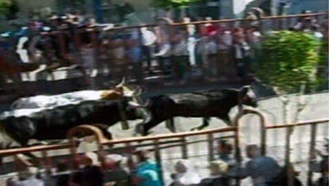 Encierro Arganda del Rey