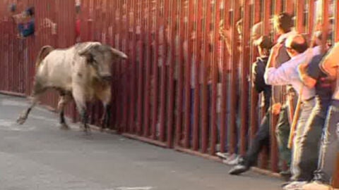 Cuarto encierro en Arganda