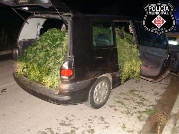 El coche lleno a rebosar de marihuana