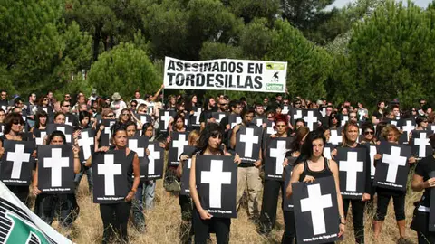 Antitaurinos contra el 'Toro de la Vega' Antitaurinos contra el 'Toro de la Vega'