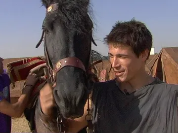 Los caballos de Hispania Los caballos de Hispania