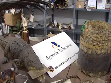 Un “museo” en Barajas Un “museo” en Barajas
