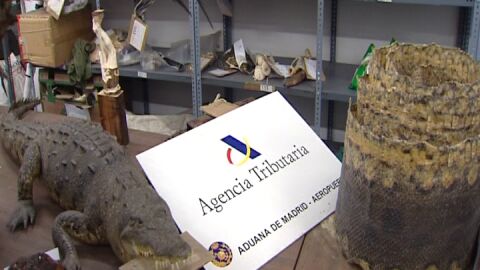 Un &ldquo;museo&rdquo; en Barajas