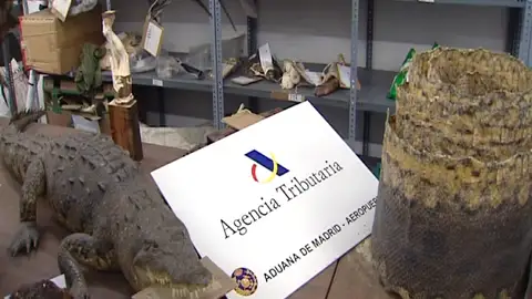 Un “museo” en Barajas Un “museo” en Barajas