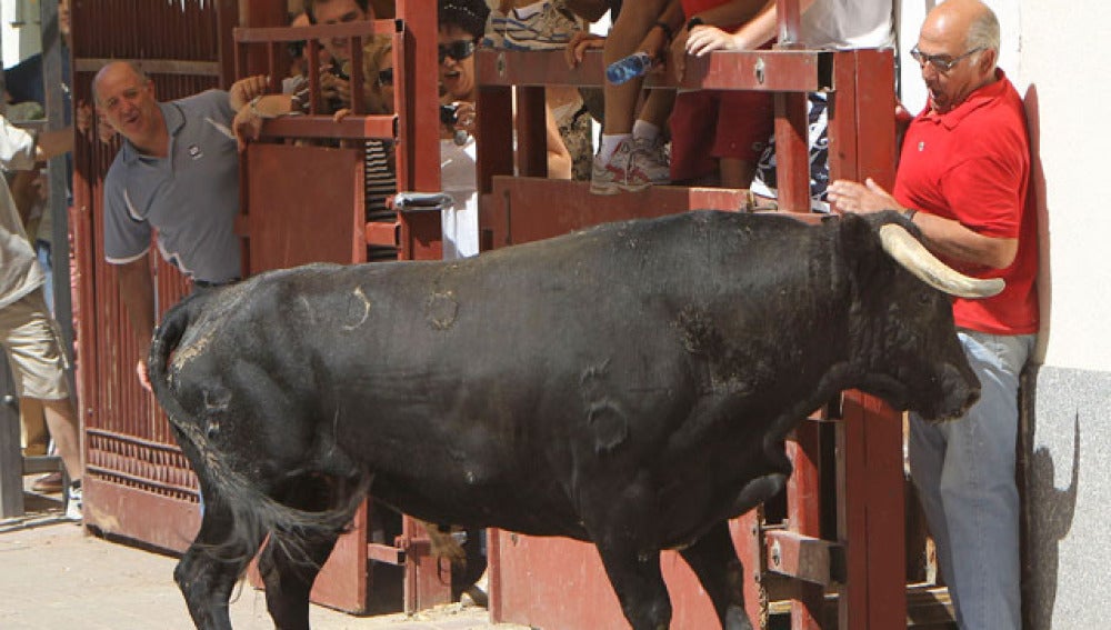 Encierros en Almodóvar del Campo, los más antiguos de España (Archivo)