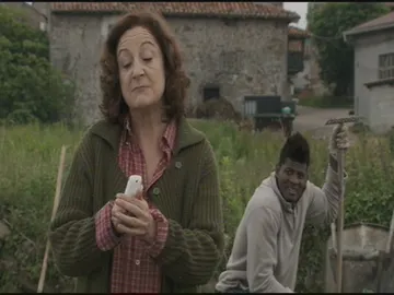 Alicatar el campo Alicatar el campo