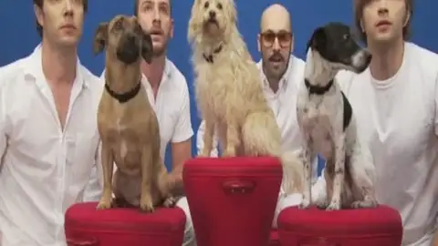 El grupo Ok Go edita nuevo vídeoclip El grupo Ok Go edita nuevo vídeoclip