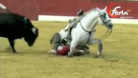 La unica rejoneadora de España, en estado grave La unica rejoneadora de España, en estado grave