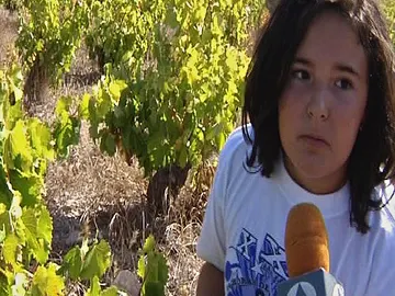 Los jóvenes también vendimian Los jóvenes también vendimian