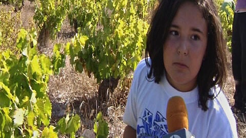 Los j&oacute;venes tambi&eacute;n vendimian