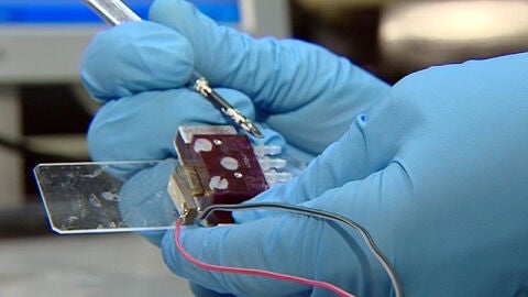 Un chip para detectar el c&aacute;ncer