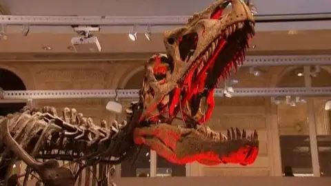 Esqueleto de alosaurio Esqueleto de alosaurio